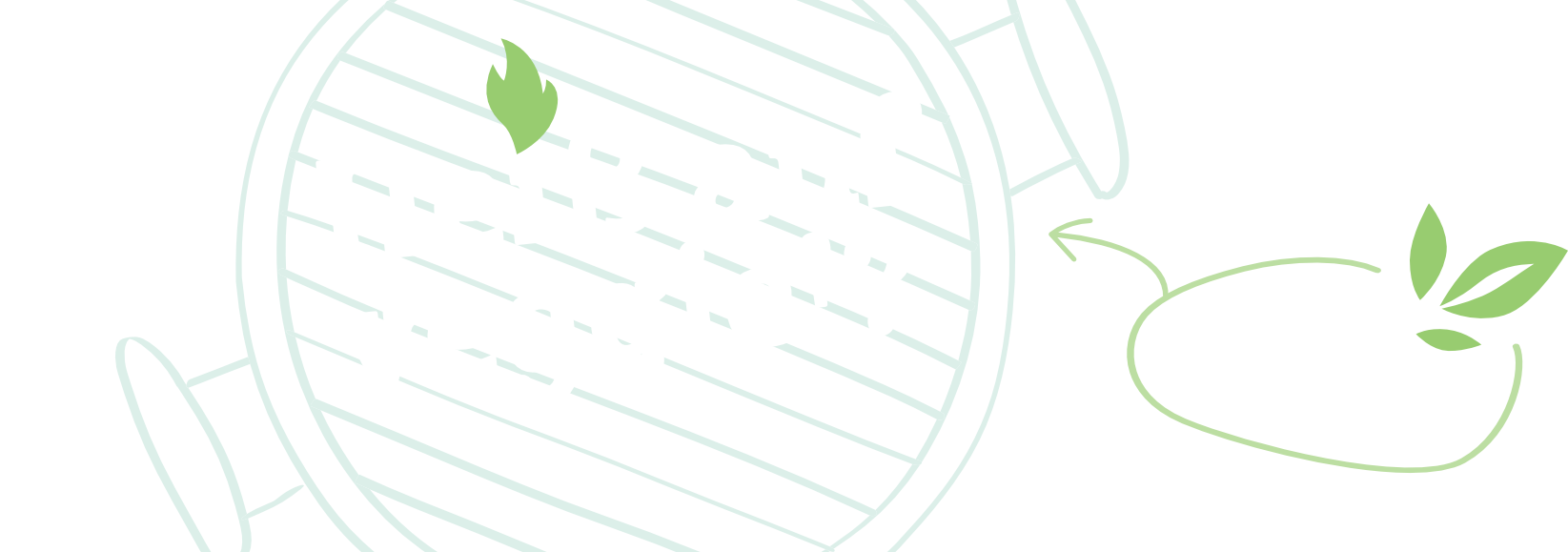 Heiß auf veggie? 100% Pflanzlich! 2+1 gratis.