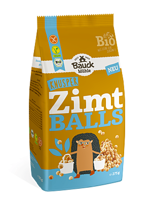 Zimt Balls Bio gf